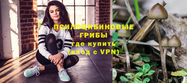 a pvp Медногорск