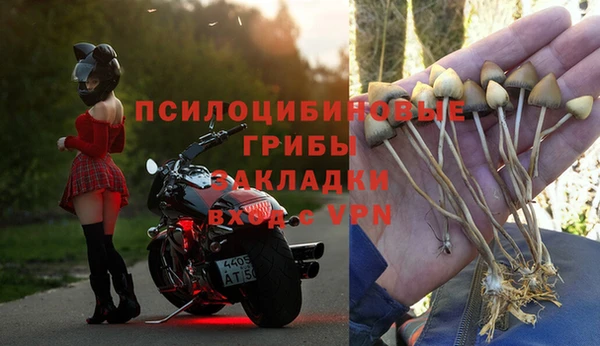 a pvp Медногорск