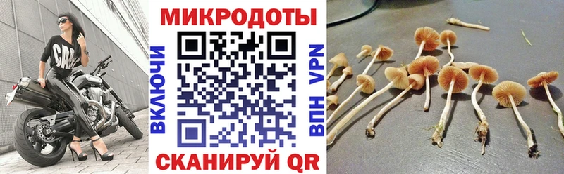Псилоцибиновые грибы GOLDEN TEACHER  Кострома 