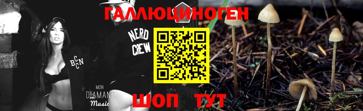 Псилоцибиновые грибы Magic Shrooms  Галлюциногенные грибы ЛСД  Вход с VPN  Кострома 